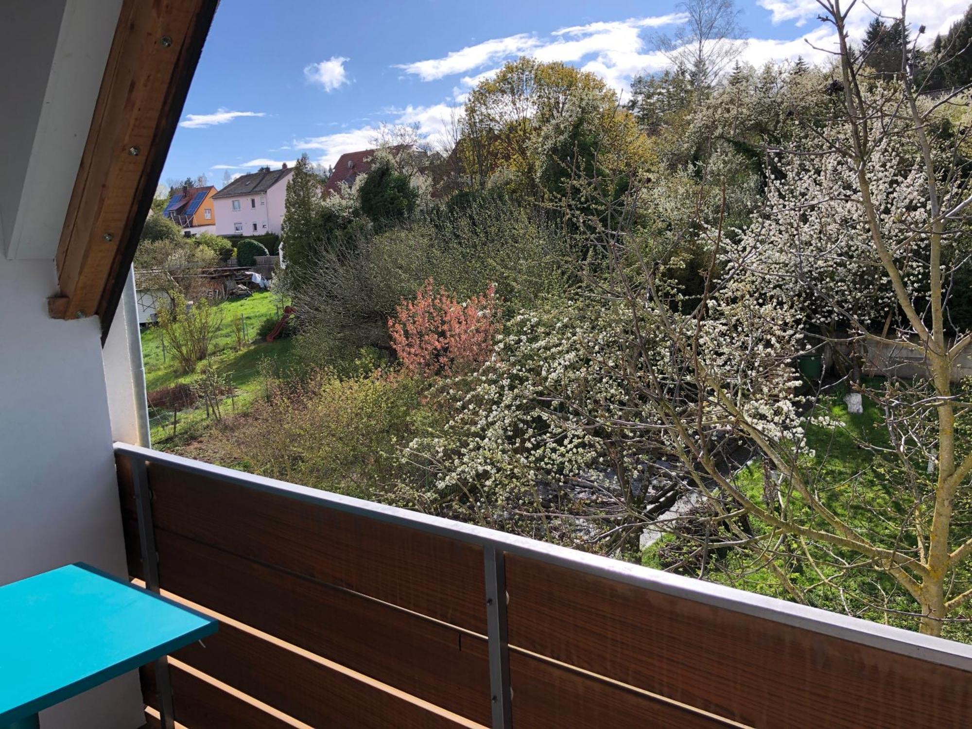 Blaues Zimmer Mit Grossem Balkon, Bad Ist Ein Traum, 50 Schritte Zum Radweg Am Main,Ideal For Short Stay Mainstockheim Dış mekan fotoğraf